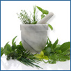 Medicinal Herbs Plants Mortar & Pestle